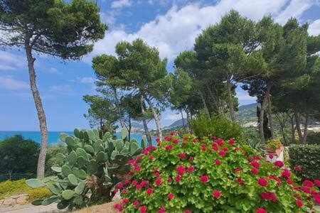 Cavallino Sea House Cefalu Exterior photo